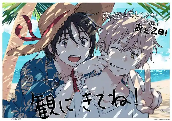 治愈系 海边日记